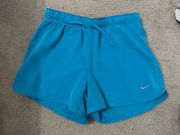 Dri-Fit Shorts