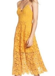 The Label Marigold Lace A-Line Midi Dress