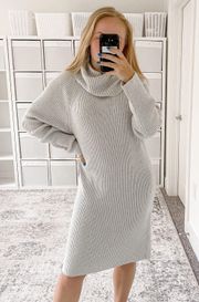 NWT  KATERINA KNITS ROLL NECK DRESS Sweater