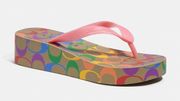 NWT Coach Lynn Flip Flop in Signature Rainbow Size US11