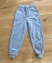 ZARA  LA Bel-Air Jogger Sweatpants in Gray