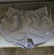 Dri-Fit Shorts