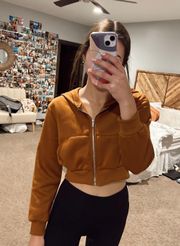 cropped jacket