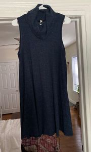 Urban Outfitters Cowl Neck Sweater Dress