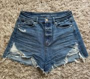 Outfitters Mom Shorts