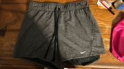 Dri-Fit Shorts