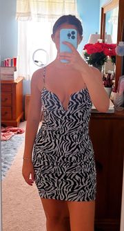 Zebra Print Dress