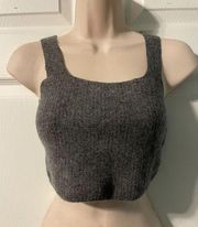 NWT Dark Gray Everlane Crop Tank S