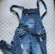 Denim Overalls