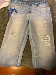 Women’s chicos size 2