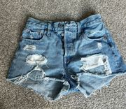 501 Shorts