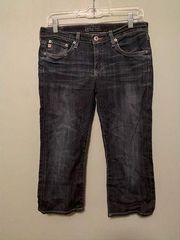 Big Star Jeans Sweet Crop Denim Blue Indigo Wash Whiskered Mid Rise 29