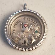 Origami owl necklace with charm