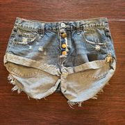 One X One Teaspoon denim shorts