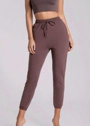 Sylvia Loopback Joggers Sweatpants Mauve