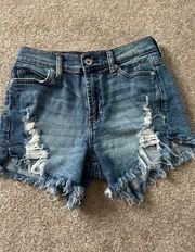 Kendall + Kylie  Shorts