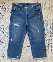 Express Straight Ankle High Rise Stretch Denim Crop Raw Hem Jeans Blue Plus 16