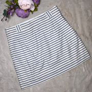 NWT  Off White and Blue Striped Skirt