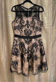 The Limited black gold gothic lace fit & flare dress, 12 NWOT