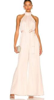 Hayes Jumpsuit in Champagne