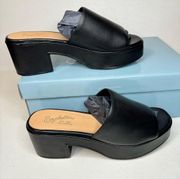 Seychelles One Of a Kind leather Sandals casual classic comfy style summer