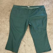 Woman Within Green Jeans Size 34W Petite Slim Straight Leg