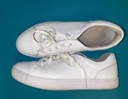 White Clark Sneakers