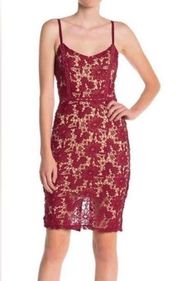 𝅺NWT Max & Ash lace Bodycon dress