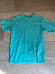 Patagonia T Shirt