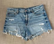 Outfitters Shorts