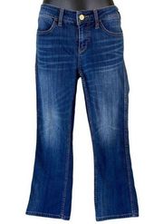 Anthropologie Pilcro and The Letterpress Distressed Cropped Ankle Jeans