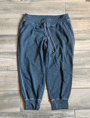 Athleta blue sweats