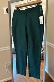 A New Day Skim Ankle Mid Rise Slim Hip & Thigh Pants NET Size 4