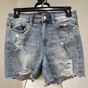Judy Blue paint slash distressed shorts in a size small