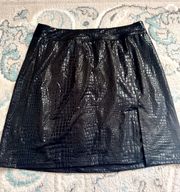 Black Skirt