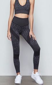 NEW  LEOPARD PRINT RIBBED LEGGINGS XS/1