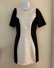 Silky Black & Cream Dress