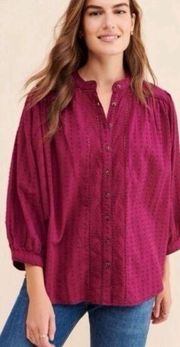 Anthropologie Pilcro Tavi Boho Embroidered Button Down Top