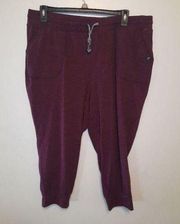 Torrid Happy Camper Purple Super Soft Performance Jersey Crop Jogger