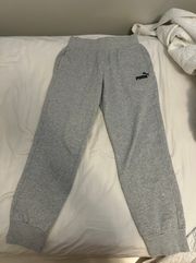 Gray Sweatpants