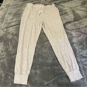 Splendid Supersoft Jogger Grey size Medium New with Tags