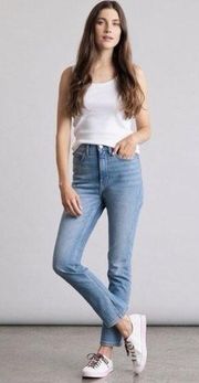 Elizabeth & James High Rise Vintage Straight Jeans size 8 / 29