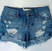 Altar’d State Cut Off Shorts