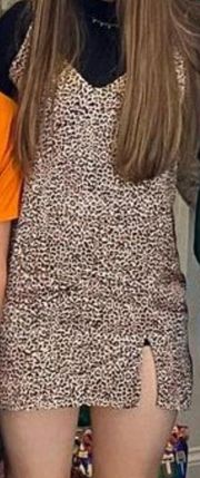 Cheetah Dress