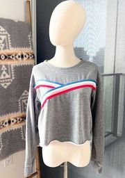 Peloton Terez Rainbow Stripe Grey Crewneck Cropped Sweatshirt Women’s XS