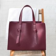 NWT  Take-It-Anywhere Tote