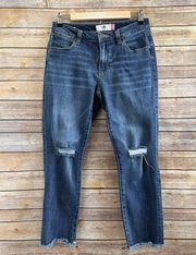 CAbi Cropped High Straight Distressed Raw Hem Blue Jeans #5495 Size 4