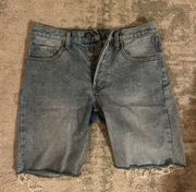 Brandy Melville Jorts