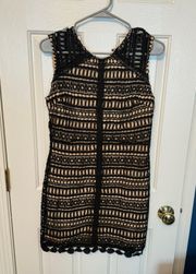 francesca’s bodycon lace dress