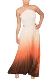 Rachel Roy Cut Out Zippered Pleated Ombré Maxi Dress Size 14 New w/Tag MSRP $169